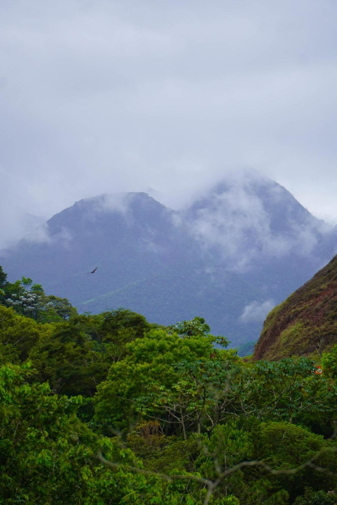 Holiday home Refugio Da Montanha - Cascata - Lumiar