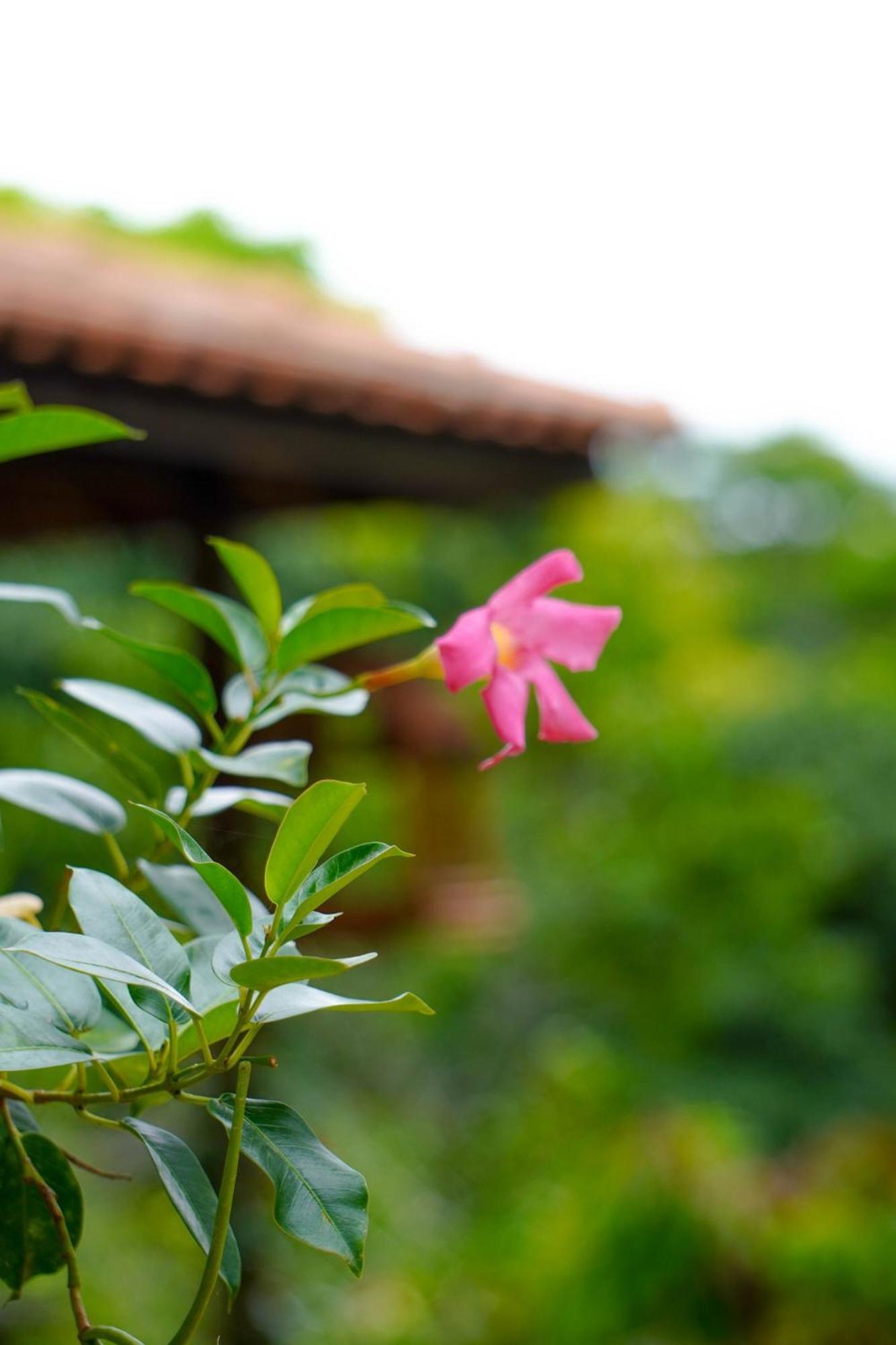Holiday home Refugio Da Montanha - Cascata -